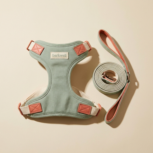 Barkwell sage harness and lead walk set